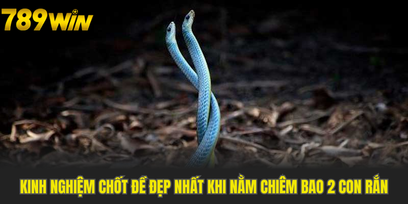 Kinh nghiệm chốt đề đẹp nhất khi nằm chiêm bao 2 con rắn