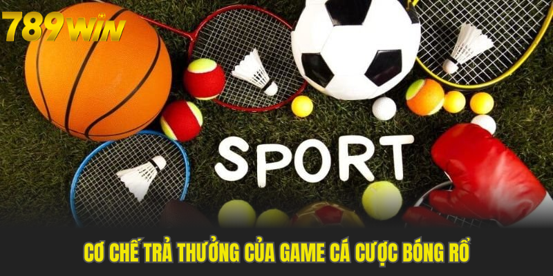 Cơ chế trả thưởng của game cá cược bóng rổ