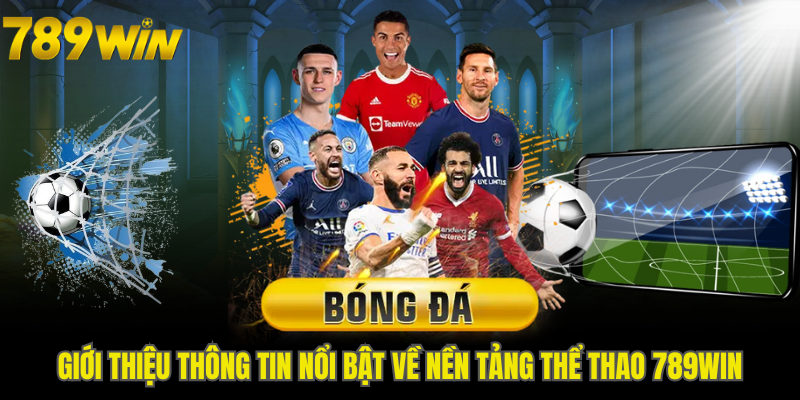 Giới thiệu thông tin nổi bật về nền tảng thể thao 789WIN