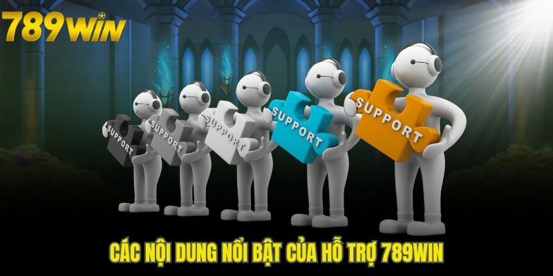 Các nội dung nổi bật của hỗ trợ 789WIN