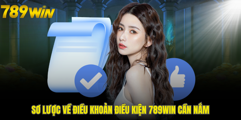 Thông tin chung về điều khoản điều kiện 789WIN cần nắm